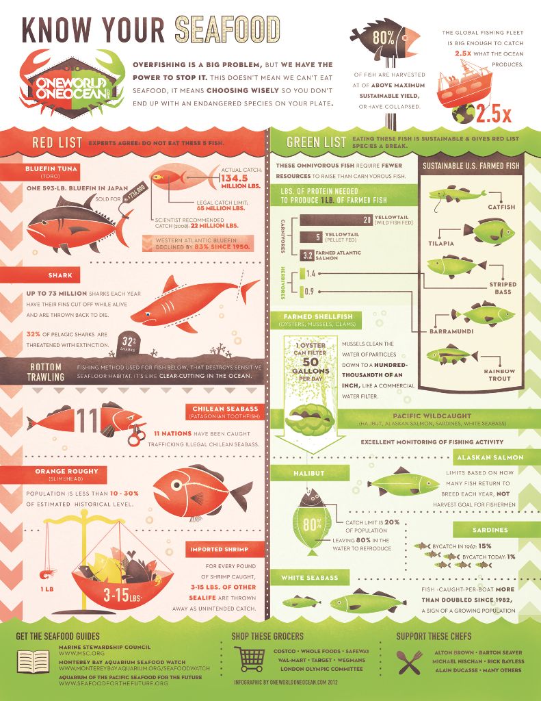 OWOO_KnowYourSeafood-11